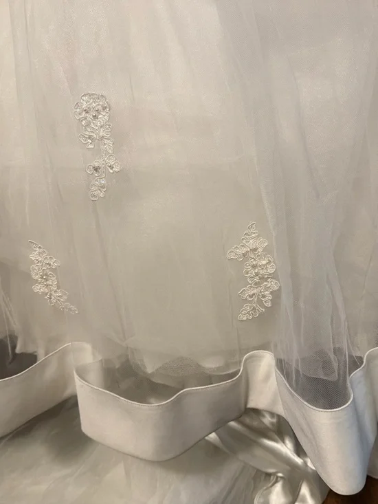 David’s Bridal Ballgown Wedding Dress - Picture 7 of 16